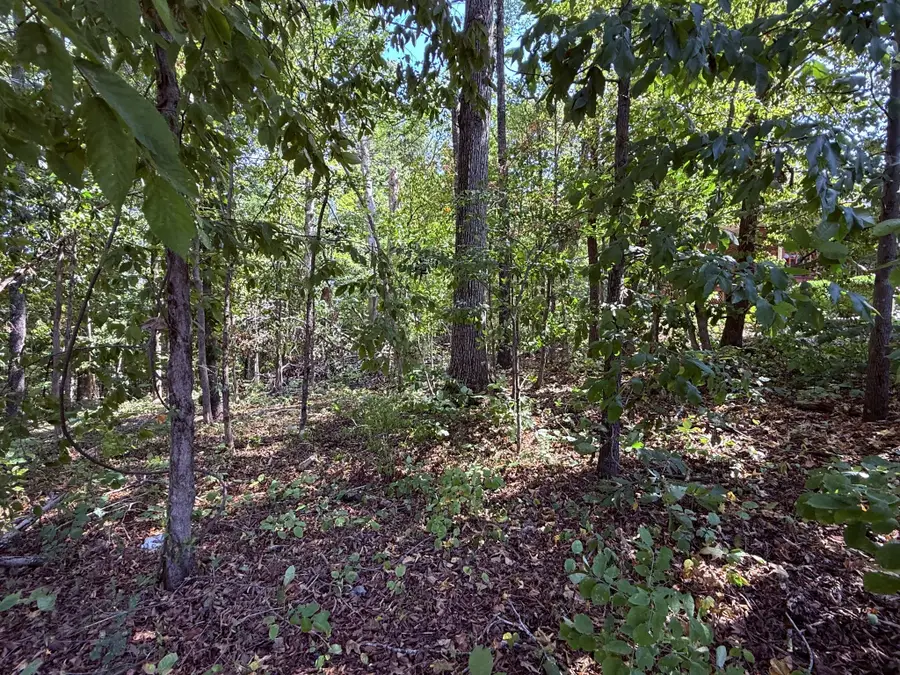 510 Big Richland Dr, Waverly, TN 37185 - #3