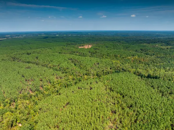 179 Wr Klippel Rd, Hohenwald, TN 38462