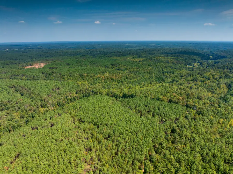 179 Wr Klippel Rd, Hohenwald, TN 38462 - #2