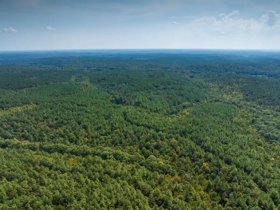 179 Wr Klippel Rd, Hohenwald, TN 38462 - #3