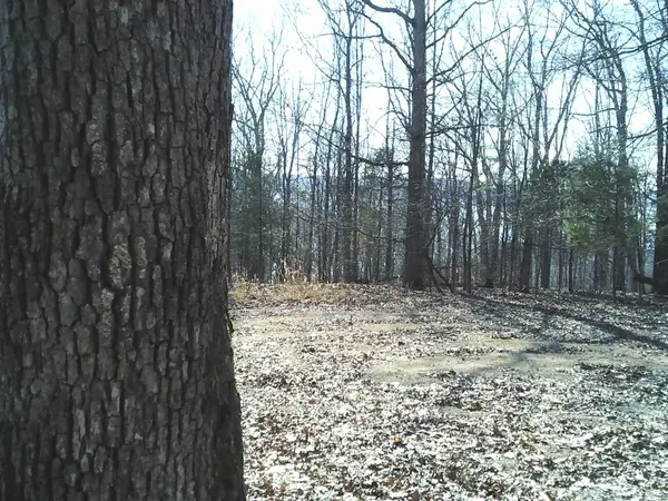 0 Eaglet Ct, Dover, TN 37058