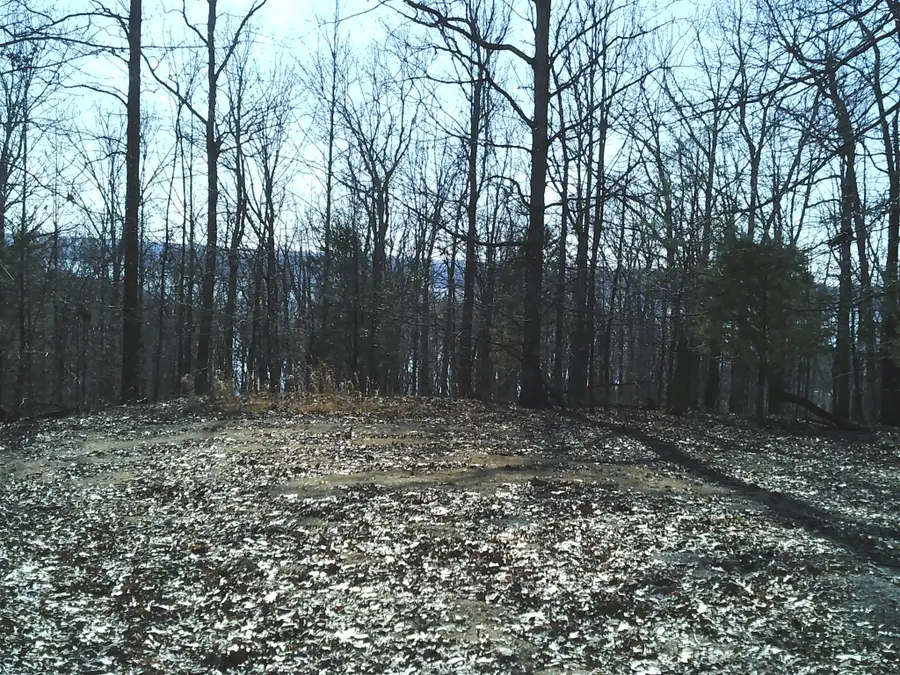 0 Eaglet Ct, Dover, TN 37058 - #3