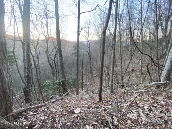 36 Elderberry Drive, Sevierville, TN 37876