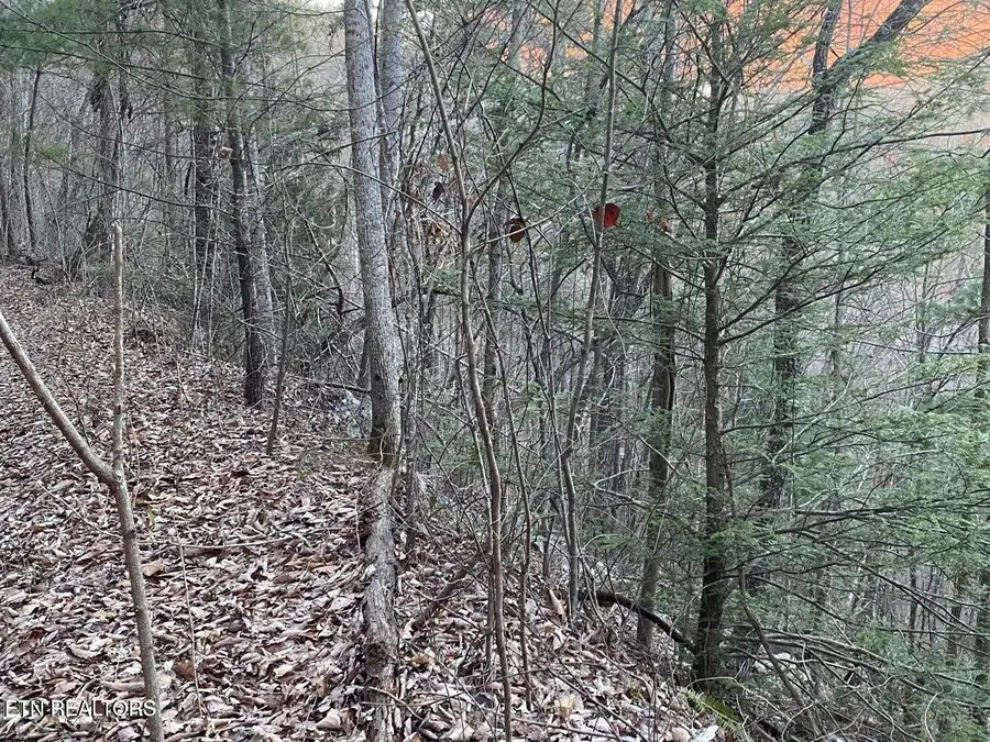 36 Elderberry Drive, Sevierville, TN 37876 - #2