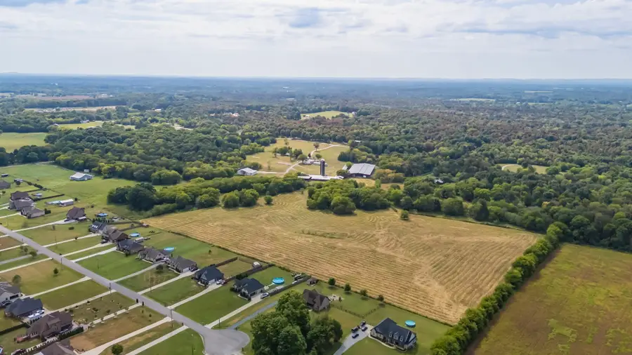 1920 Old Highway 99, Chapel Hill, TN 37034 - #3