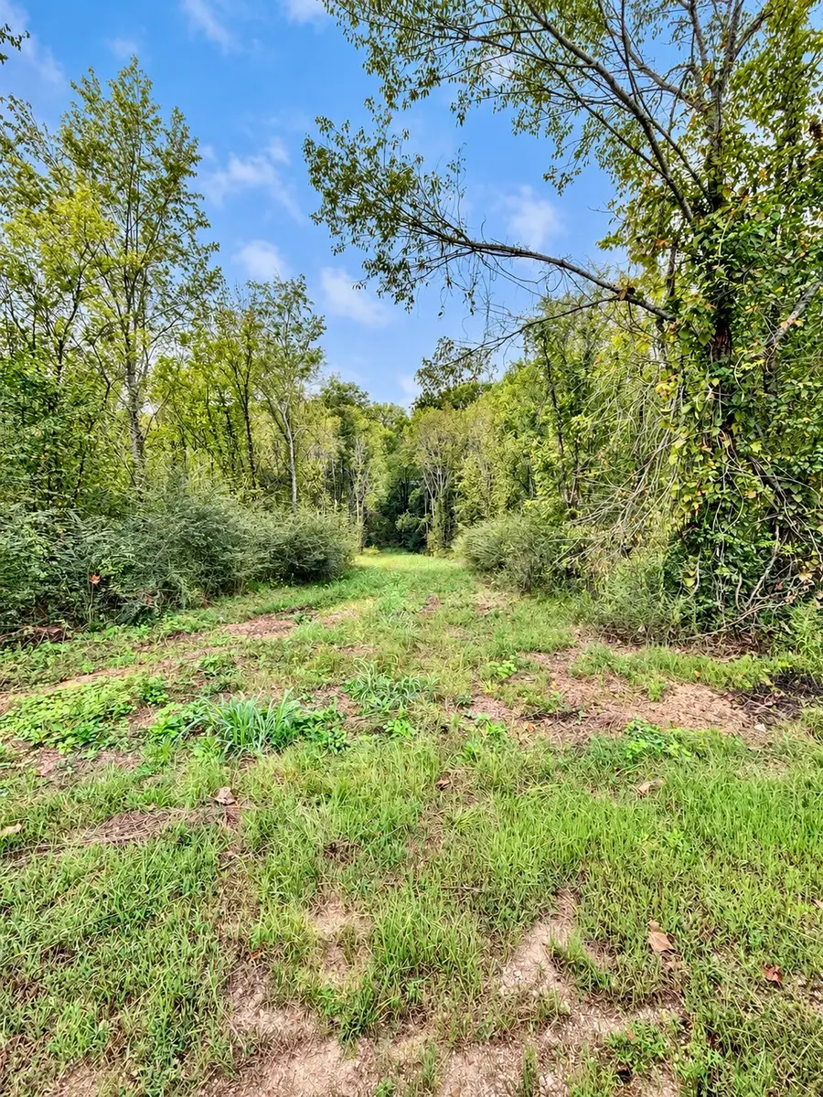 0 Spruce Dr, Linden, TN 37096 - #3
