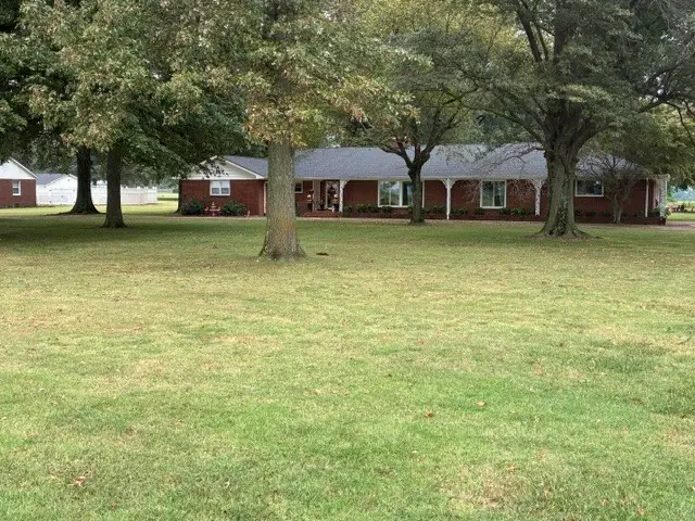 1015 Lake Dr, Tiptonville, TN 38079 - #1