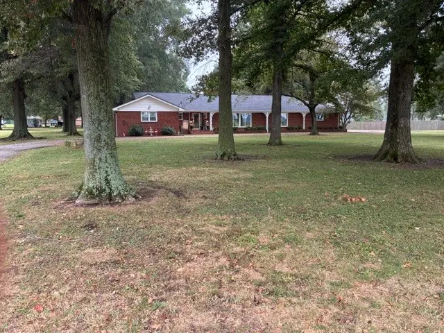 1015 Lake Dr, Tiptonville, TN 38079 - #3
