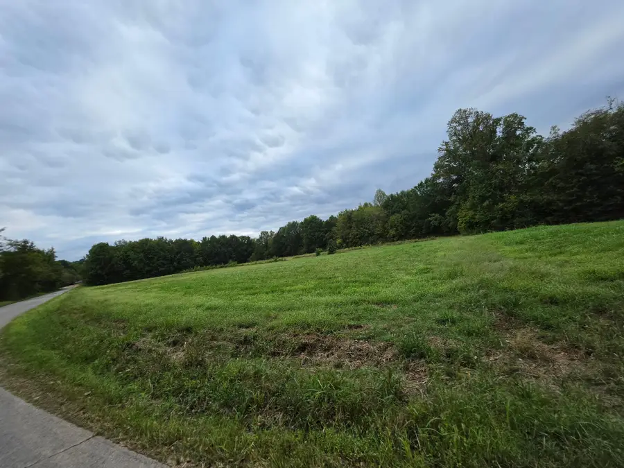 0 Wallace Rd, Waverly, TN 37185 - #3