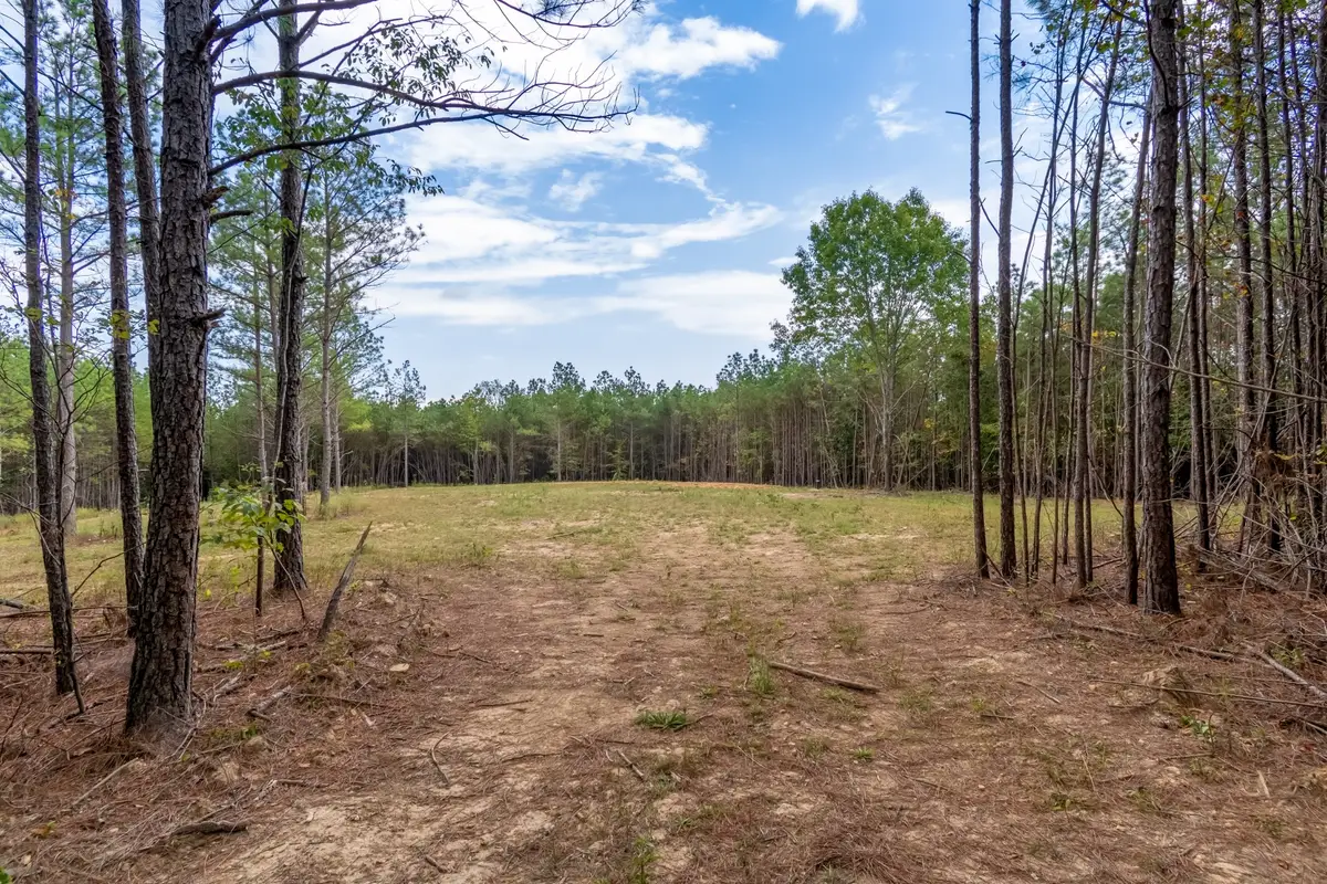 0 Old Mail Rd, Duck River, TN 38454 - #1