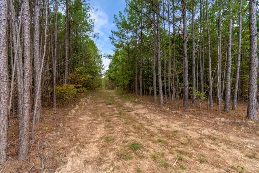 0 Old Mail Rd, Duck River, TN 38454 - #2
