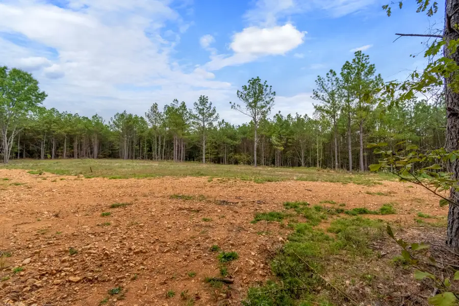 0 Old Mail Rd, Duck River, TN 38454 - #3