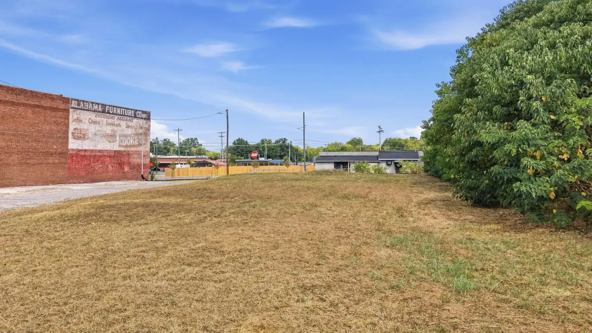 2207 Cheek Street, Chattanooga, TN 37406 - #1