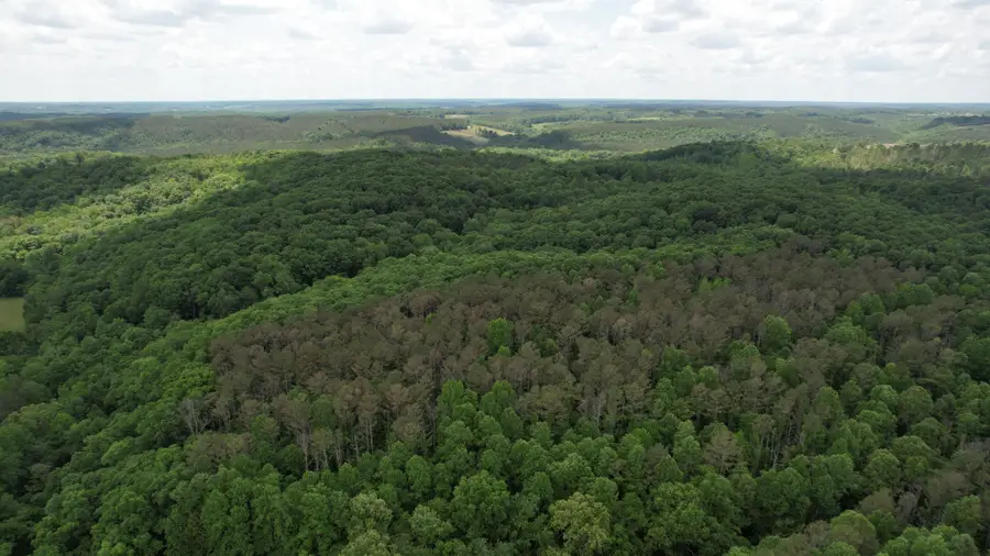 0 W Hunt Hollow Rd, Westpoint, TN 38486 - #3