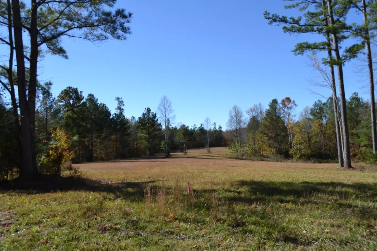 158 B Nature Trail Lane, Red Boiling Springs, TN 37150 - #1