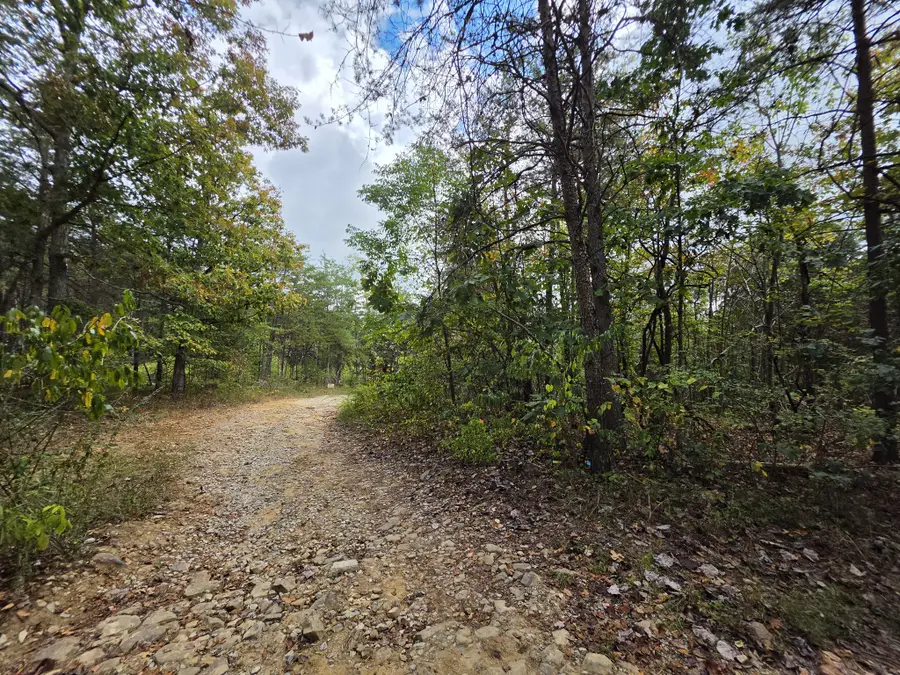 9 Myers Town Road, Beersheba Springs, TN 37305 - #2