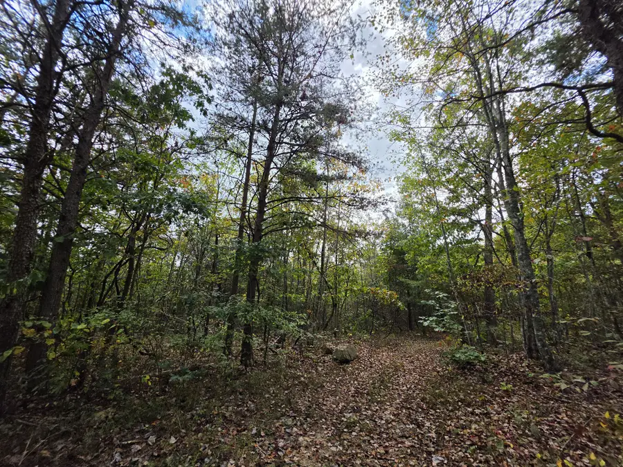 9 Myers Town Road, Beersheba Springs, TN 37305 - #3