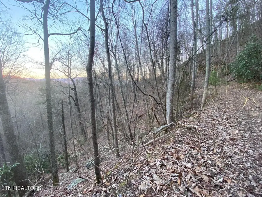 35 Elderberry Drive, Sevierville, TN 37876 - #3