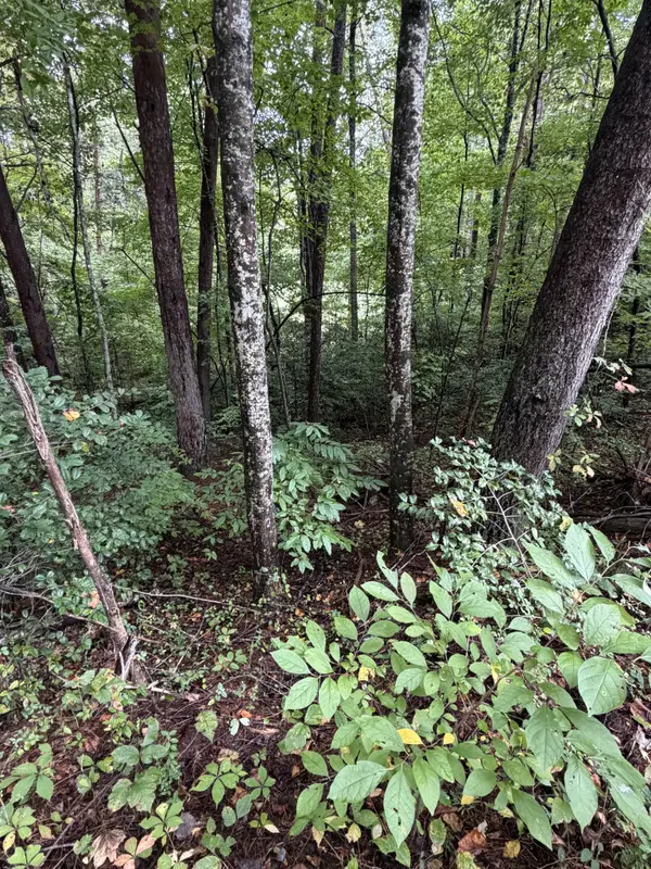 0 Little Wolfcreek Road, Murphy, NC 28906