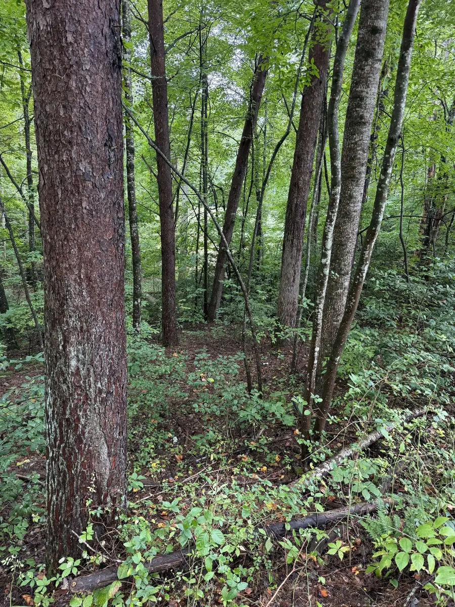 0 Little Wolfcreek Road, Murphy, NC 28906 - #3