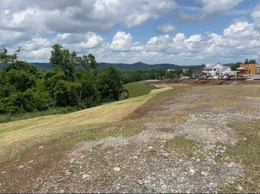115 Berry Hunter Lane, Franklin, TN 37067 - #2