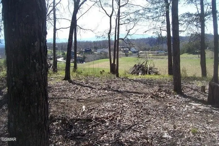 4 Flat Creek Rd, Sevierville, TN 37876 - #1