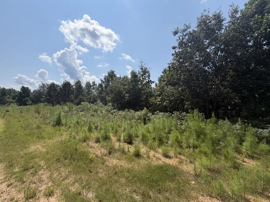 0 Black Bear Trail, Linden, TN 37096 - #3