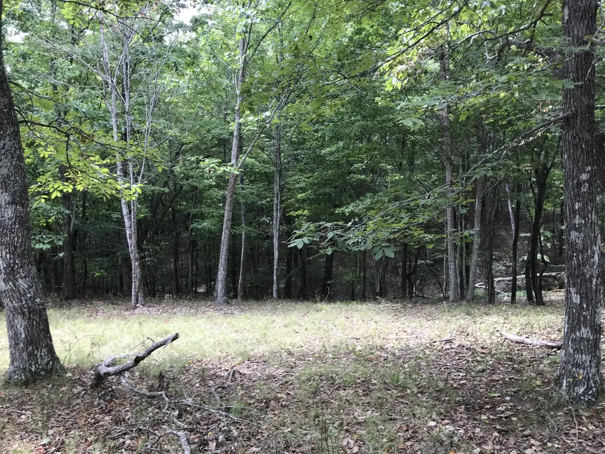 103 Bluffview Drive, Dunlap, TN 37327 - #1
