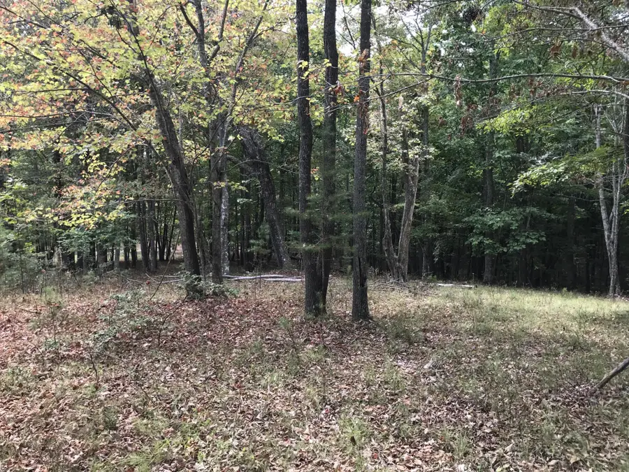 103 Bluffview Drive, Dunlap, TN 37327 - #2