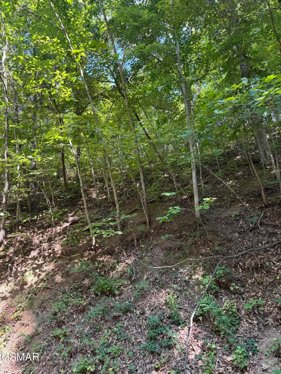 0 B Ogle Lane, Sevierville, TN 37876 - #2