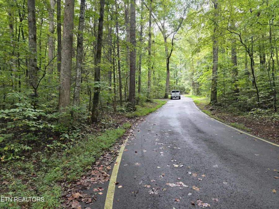 165 Lail Lane, Townsend, TN 37882 - #3