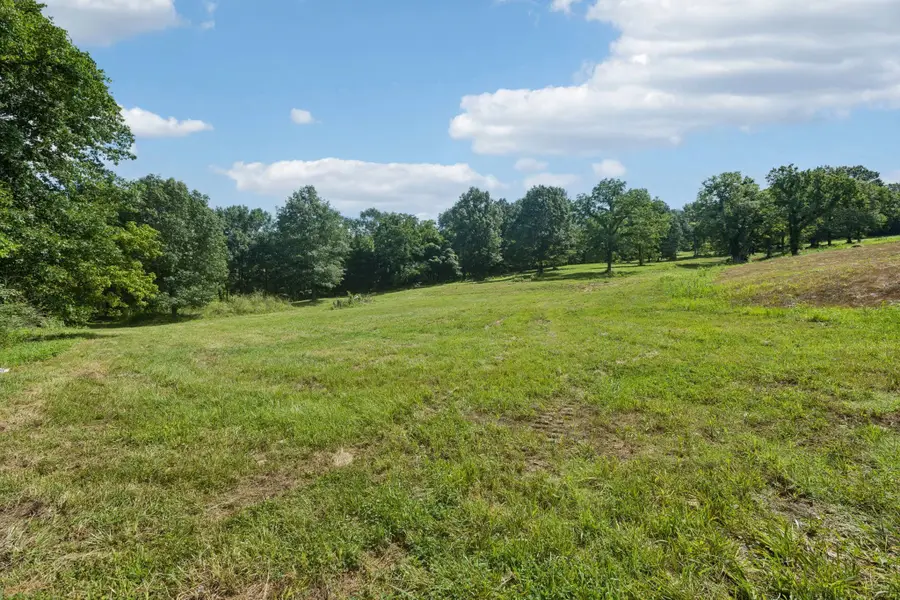 6456 Arno College Grove Rd, College Grove, TN 37046 - #3