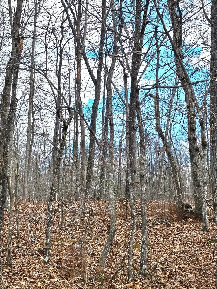 0 Diane Circle, Crossville, TN 38572 - #3