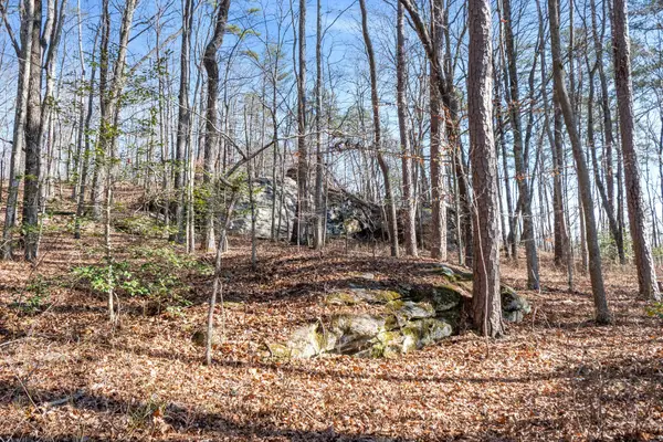 0 Tall Tree Trail, Dunlap, TN 37327