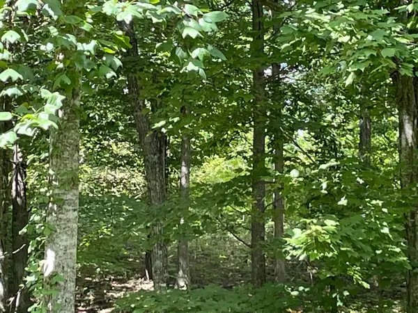 0 Roaring Creek Road, Dunlap, TN 37327
