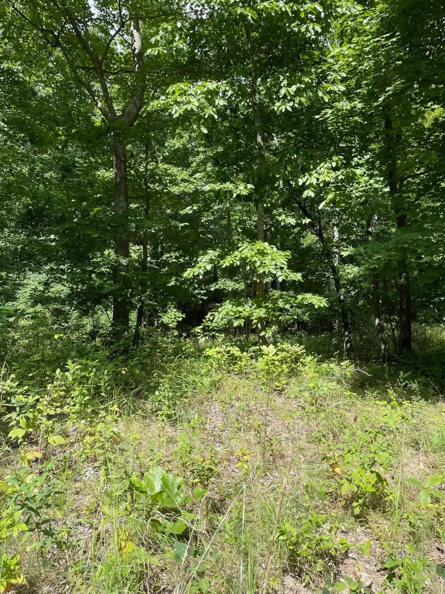 0 Roaring Creek Road, Dunlap, TN 37327 - #2