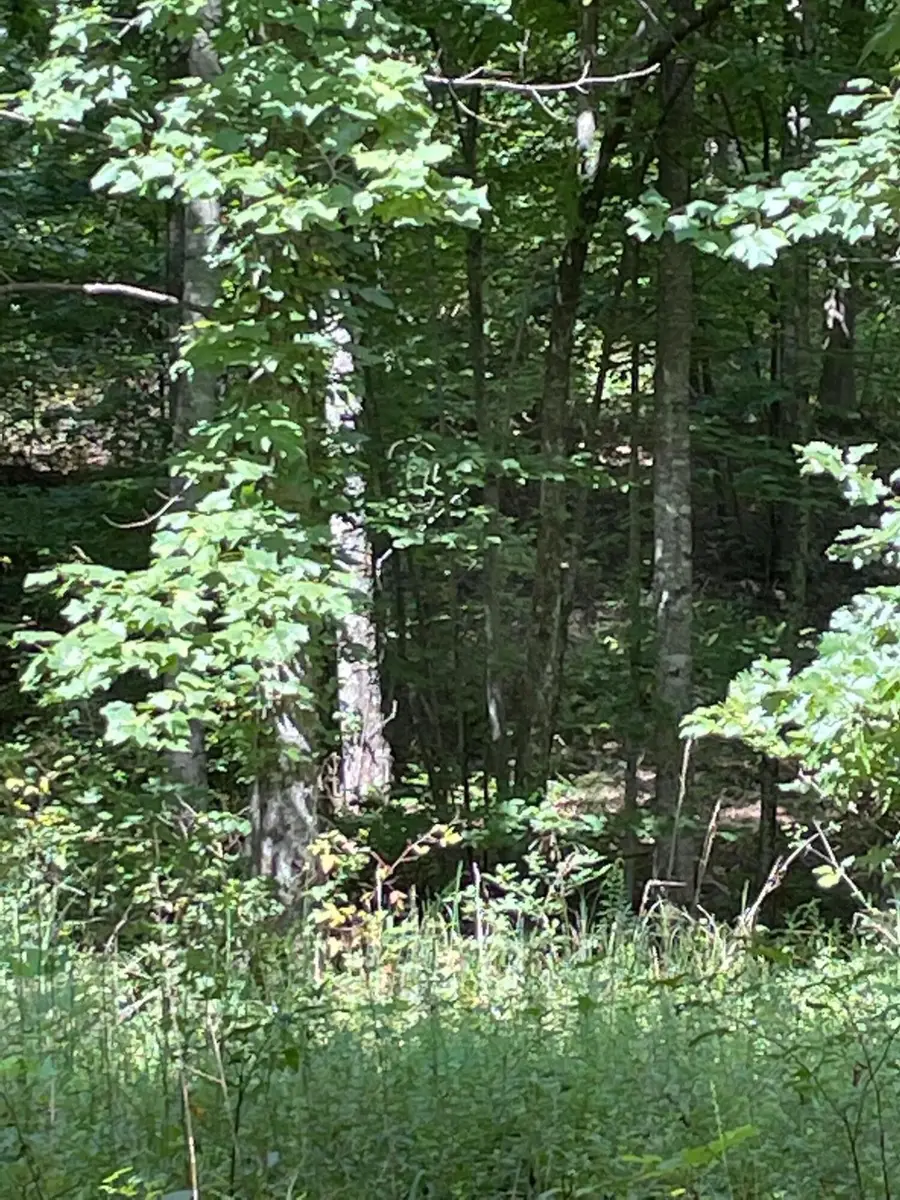 0 Roaring Creek Road, Dunlap, TN 37327 - #3
