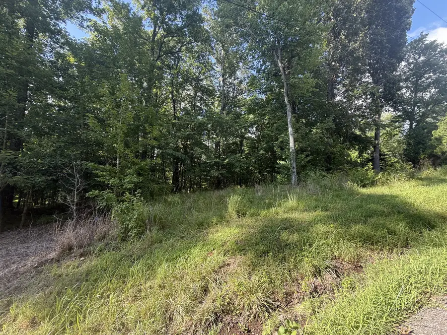 0 Willow Hollow Rd, Clarksville, TN 37043 - #2