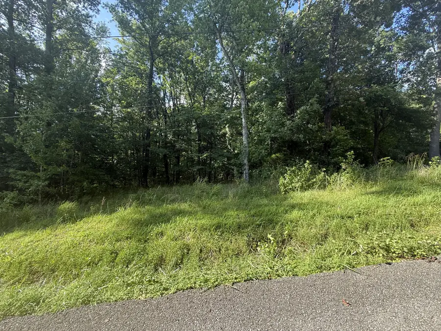 0 Willow Hollow Rd, Clarksville, TN 37043 - #3