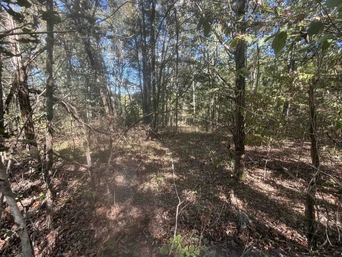 0 Doll Conway Rd, Clifton, TN 38425 - #1