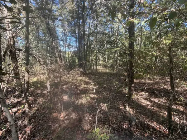 0 Doll Conway Rd, Clifton, TN 38425