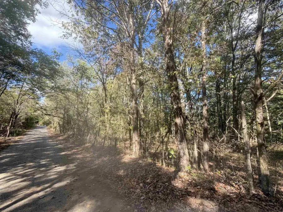 0 Doll Conway Rd, Clifton, TN 38425 - #3