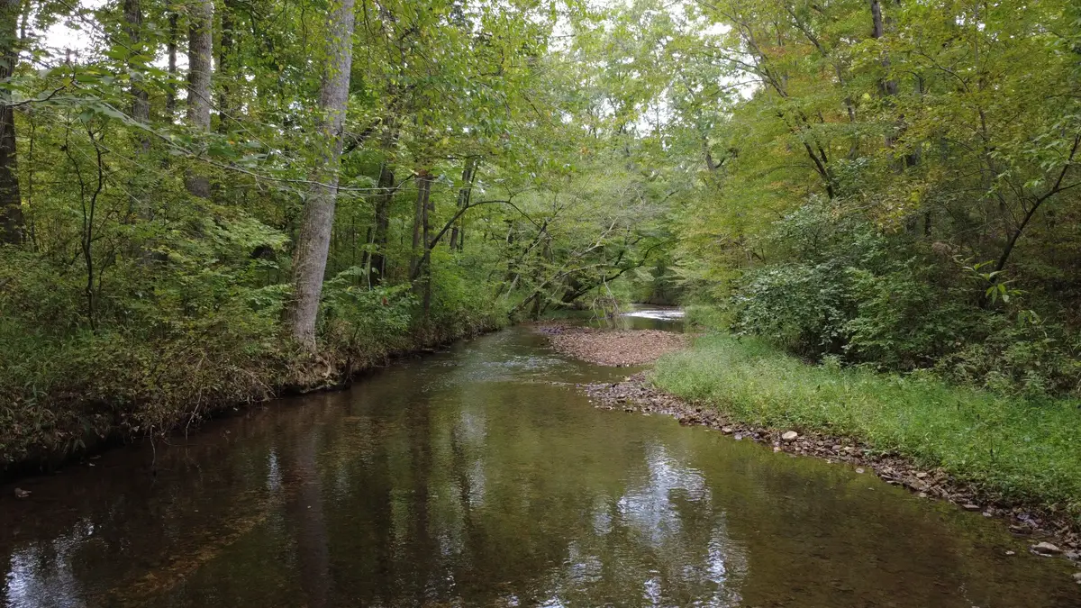 0 Grinders Creek Rd, Hohenwald, TN 38462 - #1