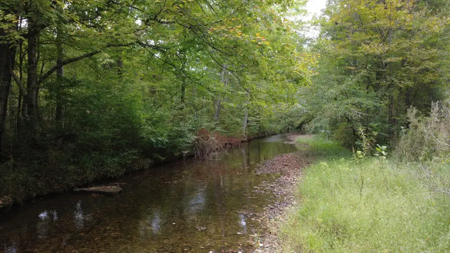 0 Grinders Creek Rd, Hohenwald, TN 38462 - #2
