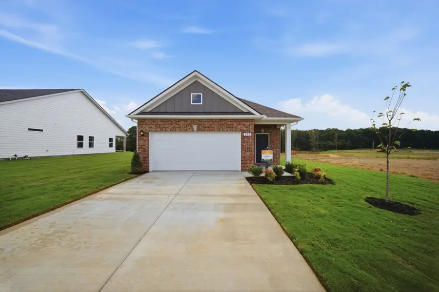 224 Trenton Trail, Chapel Hill, TN 37034 - #3