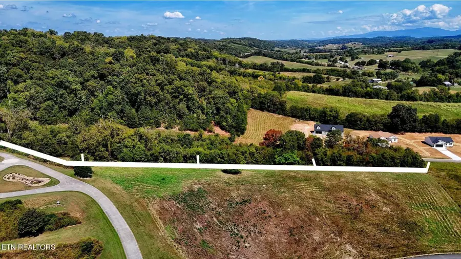 5 Cocke County, Parrottsville, TN 37843 - #3