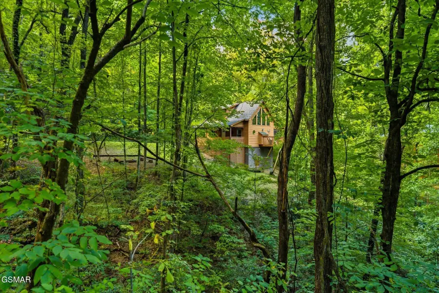 3163 Sourwood Way, Sevierville, TN 37862 - #2