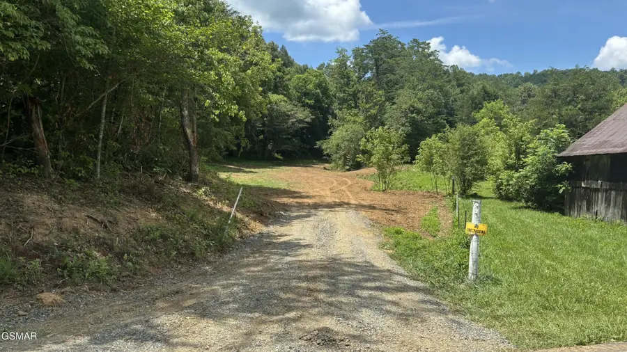 0 Bogard Rd, Cosby, TN 37722 - #3