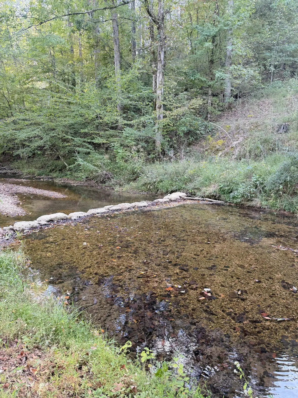 8755 Barren Fork Bridge Rd, Bon Aqua, TN 37025 - #1