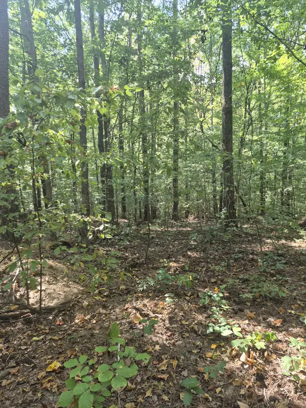 1318 Turkey Creek Rd, Dickson, TN 37055